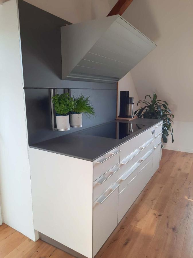Luxurioeses Loft Mit Schoenem Blick Tremsbüttel Esterno foto